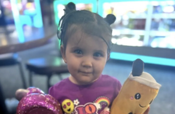 Little girl in a purple t-shirt stands in an indoor play area, holding a sparkly pink stuffed animal and a yellow cartoon-shaped plush toy, looking at the camera.